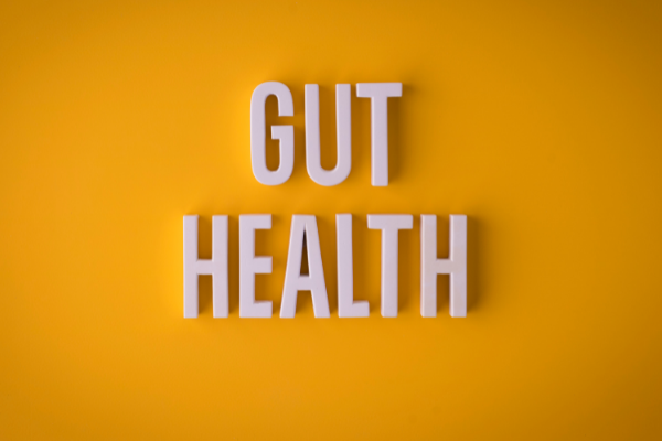 gut brain connection - gut health